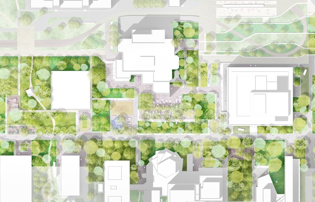 POLA CML 03 Campusmitte Lichtwiese Lageplan.jpg
