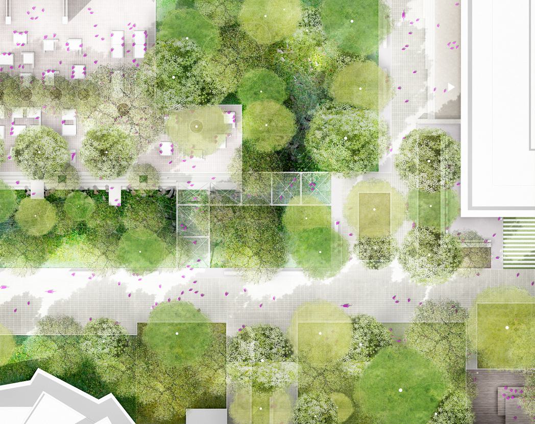 POLA CML 04 Campusmitte Lichtwiese Lageplan  02.jpg