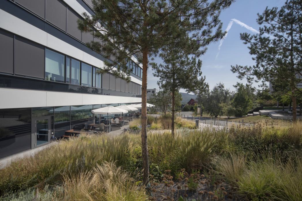 Biotech Campus