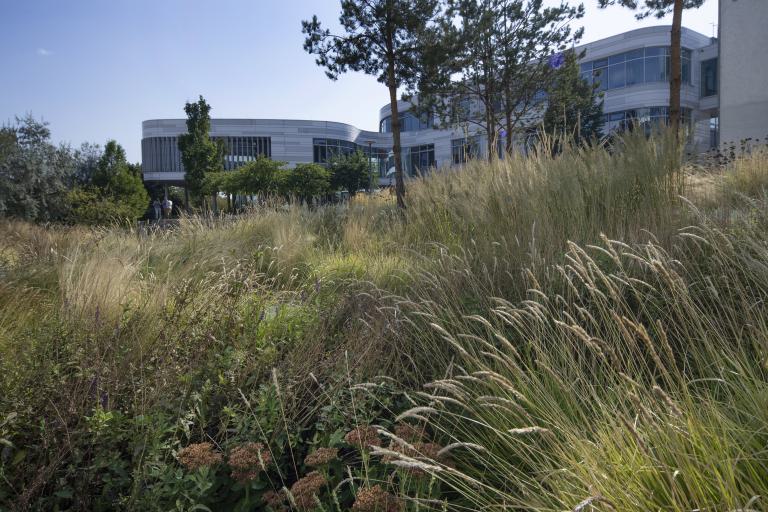 Biotech Campus