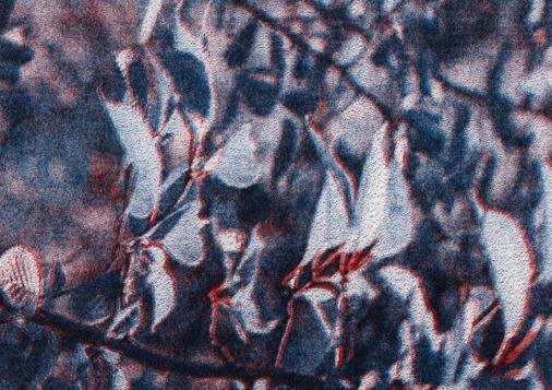 POLA_Teaser_AGB