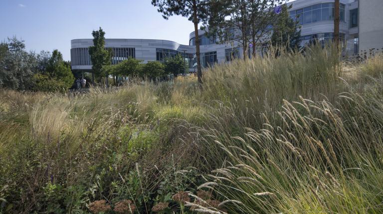 Biotech Campus